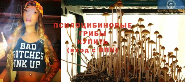 стаф Куйбышев