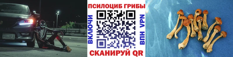 сколько стоит  Нижний Тагил  Псилоцибиновые грибы Psilocybine cubensis 
