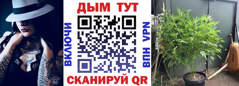 сайты даркнета клад  Нижний Тагил  Шишки марихуана Ganja  купить закладку 